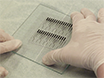 A High Performance Impedance-based Platform for Evaporation Rate Detection