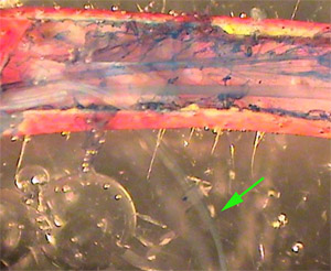 Figure 13