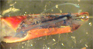 Figure 15
