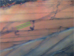 Figure 18