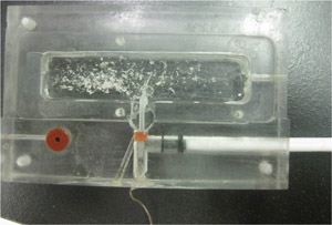 Figure 19