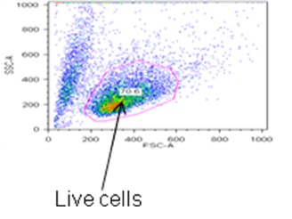 Figure 1a
