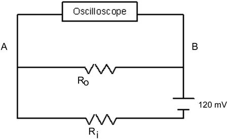 Figure 4 bottom