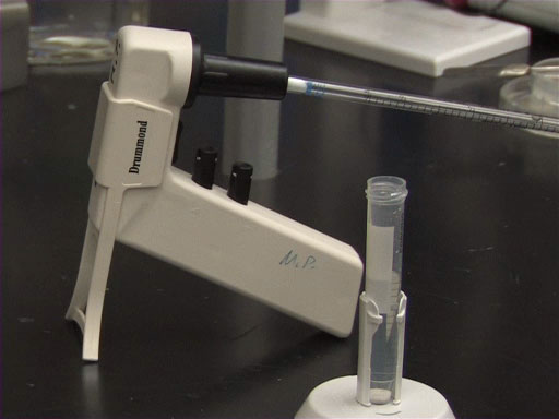 Introduction to Serological Pipettes and Pipettors thumbnail