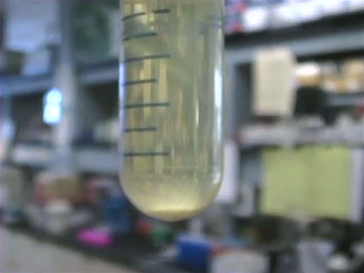 Plasmid Purification thumbnail